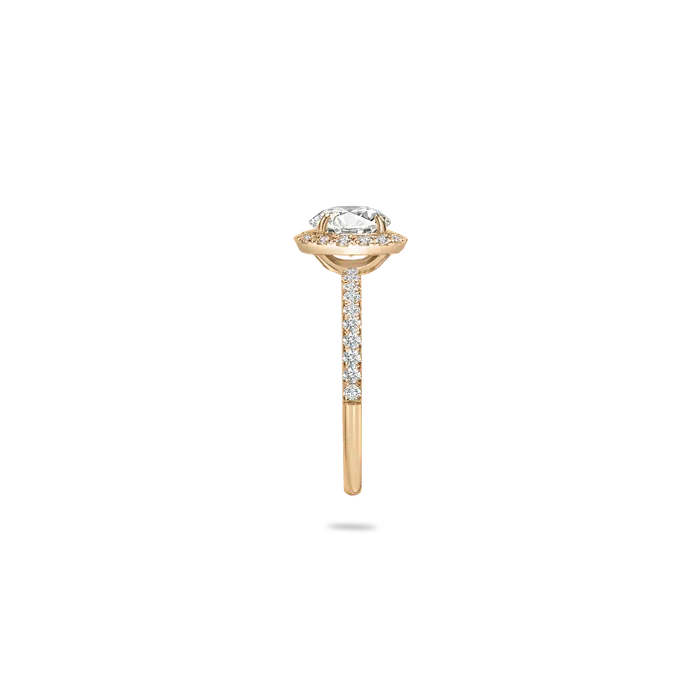 PRMAL Rings Rolla Halo Pave Ring